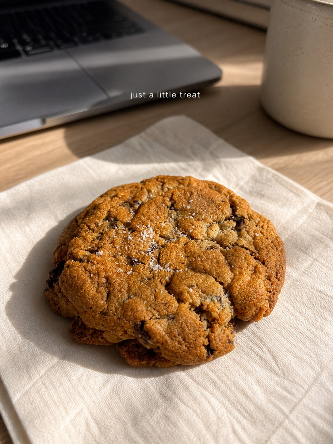 Choc Chip on Bench